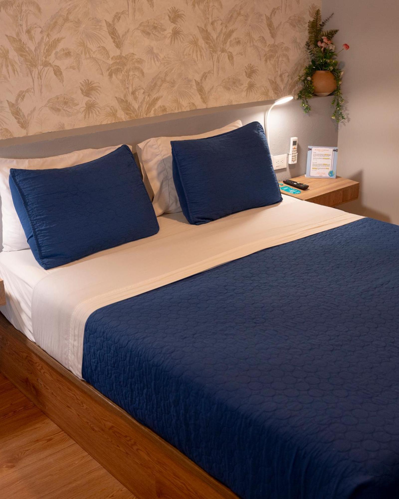 Dreamer Club Hostel