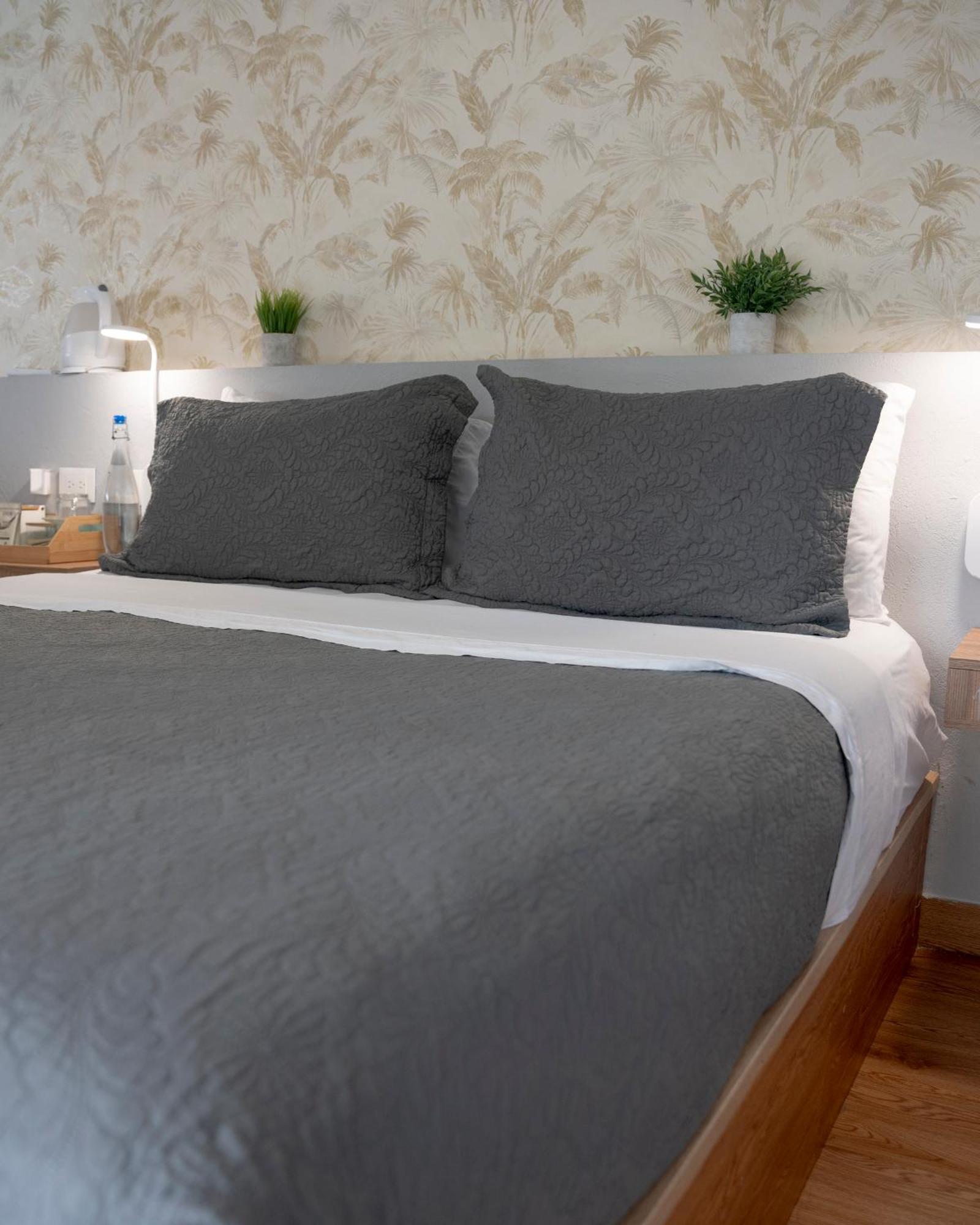 Dreamer Club Hostel