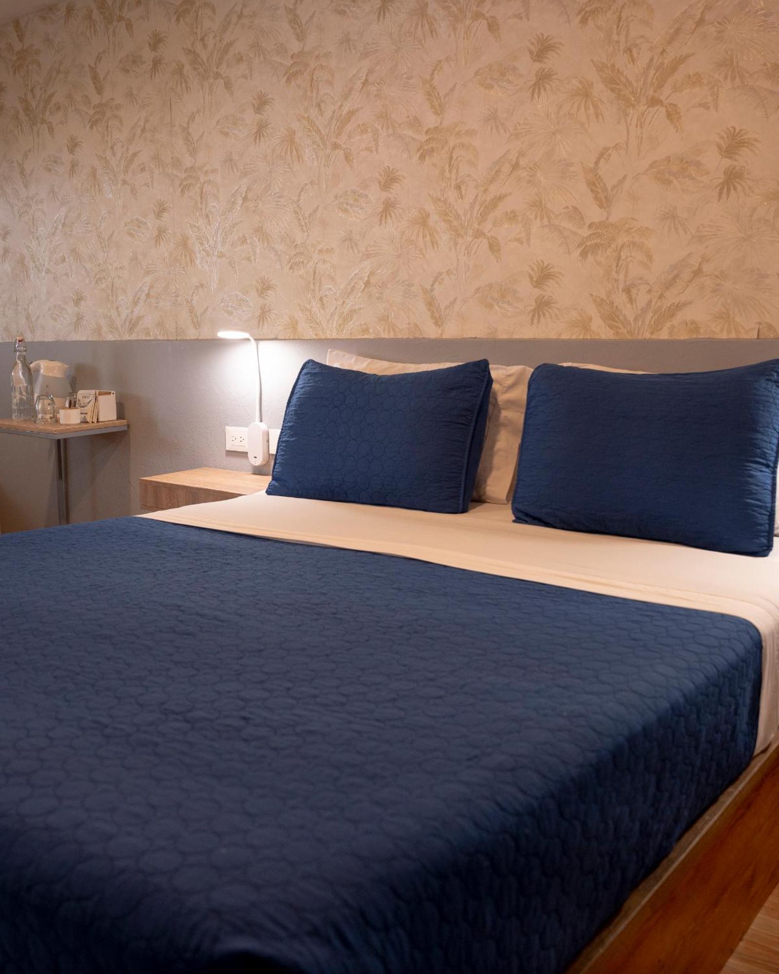 Dreamer Club Hostel
